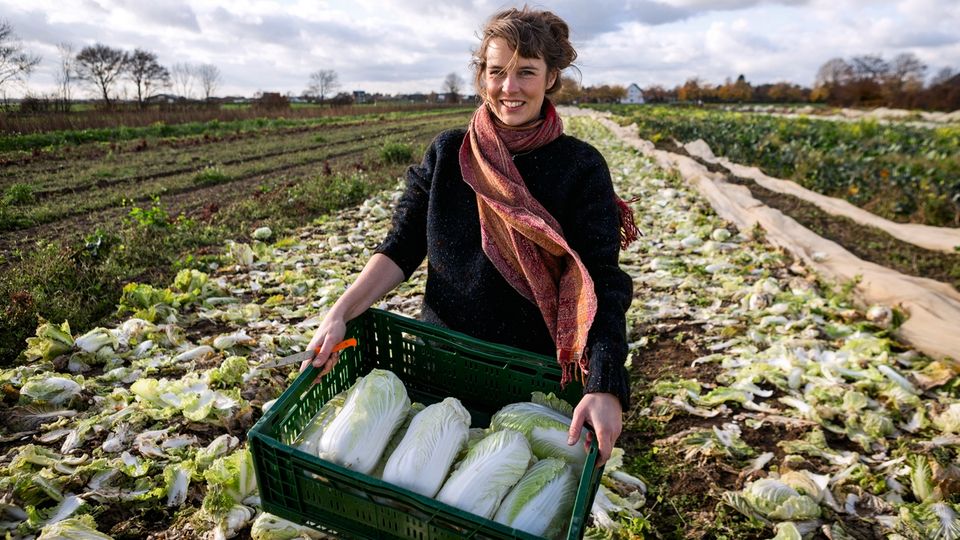 Nicole Klaski holt Gemüse vom Feld