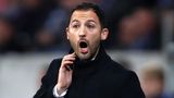 Schalke-Coach Tedesco
