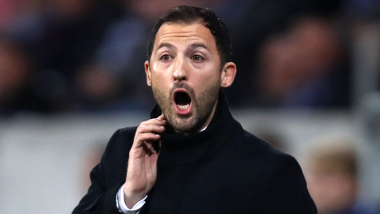 Schalke-Coach Tedesco Schalke-Coach Tedesco
