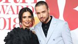 Ihre Romanze beschäftigte monatelang ihre britischen Landsleute: Cheryl Cole, einst Mitglied der Girl-Band Girls Aloud, liebt den Boyband-Star Liam Payne. Im vergangenen Jahr wurde ihr gemeinsamer Sohn Bear geboren. Doch in diesem Sommer folgte die überraschende Trennung. Angeblich soll sich der 25-Jährige nicht intensiv genug um das gemeinsame Kind gekümmert haben.