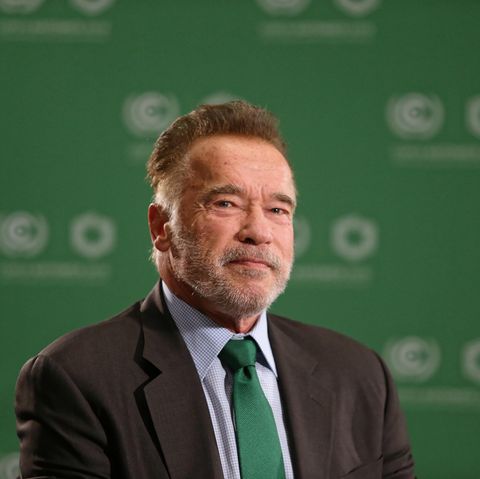 Arnold Schwarzenegger bläst zum "Umwelt-Kreuzzug" gegen Trumps Klimapolitik