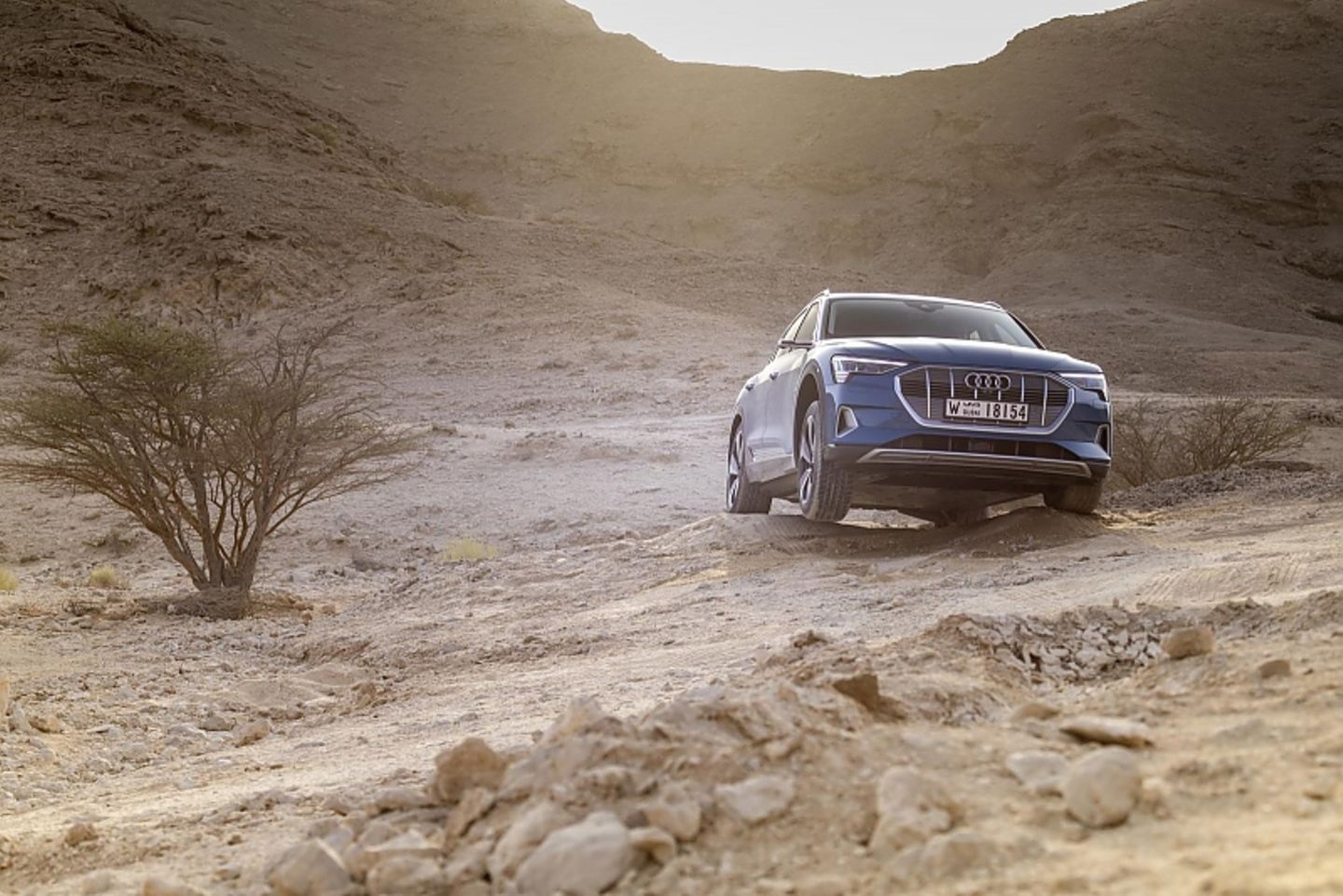 Der Audi e-tron ist auch eingeschränkt geländegängig