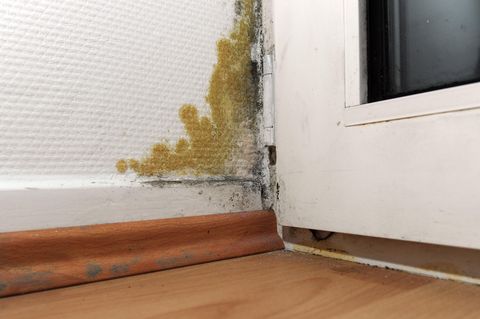 Ein Schimmelfleck ist an einer Balkontür zu sehen. Dieser Schimmel ist real. In dem Verfahren ging es dagegen um Wohnungen, in denen Schimmel auftreten könnte.
