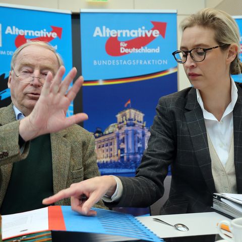 Alternative für Deutschland: Neun überraschende Fakten
