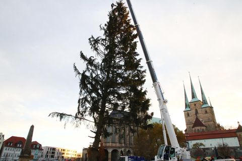 Rupfi kommt ursprünglich aus dem Thüringer Wald