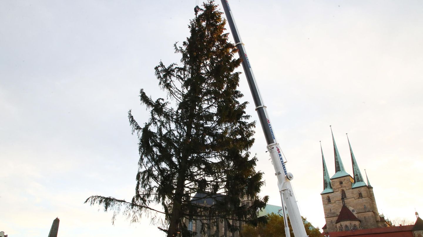 Rupfi kommt ursprünglich aus dem Thüringer Wald