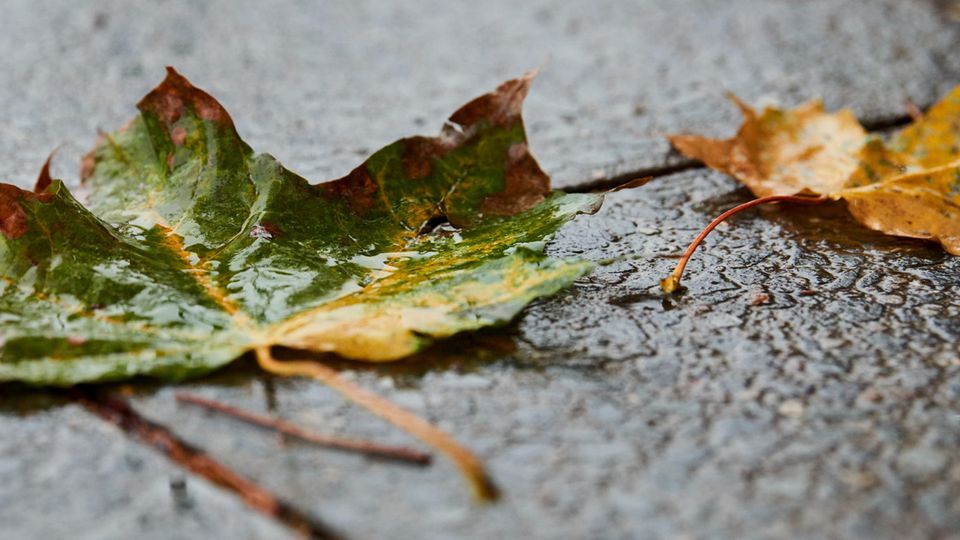 wetter in deutschland freitag 7.12.