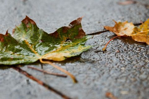 wetter in deutschland freitag 7.12.