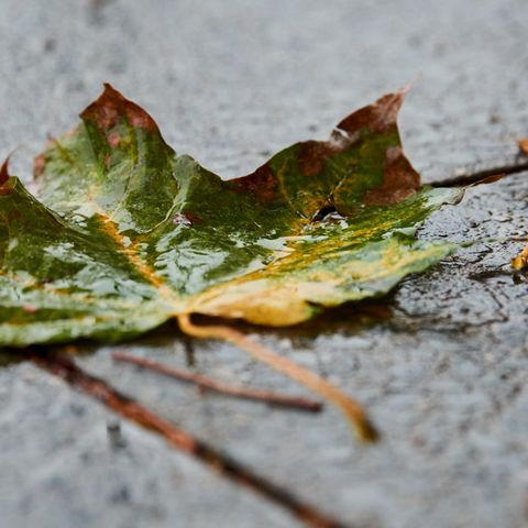 wetter in deutschland freitag 7.12.