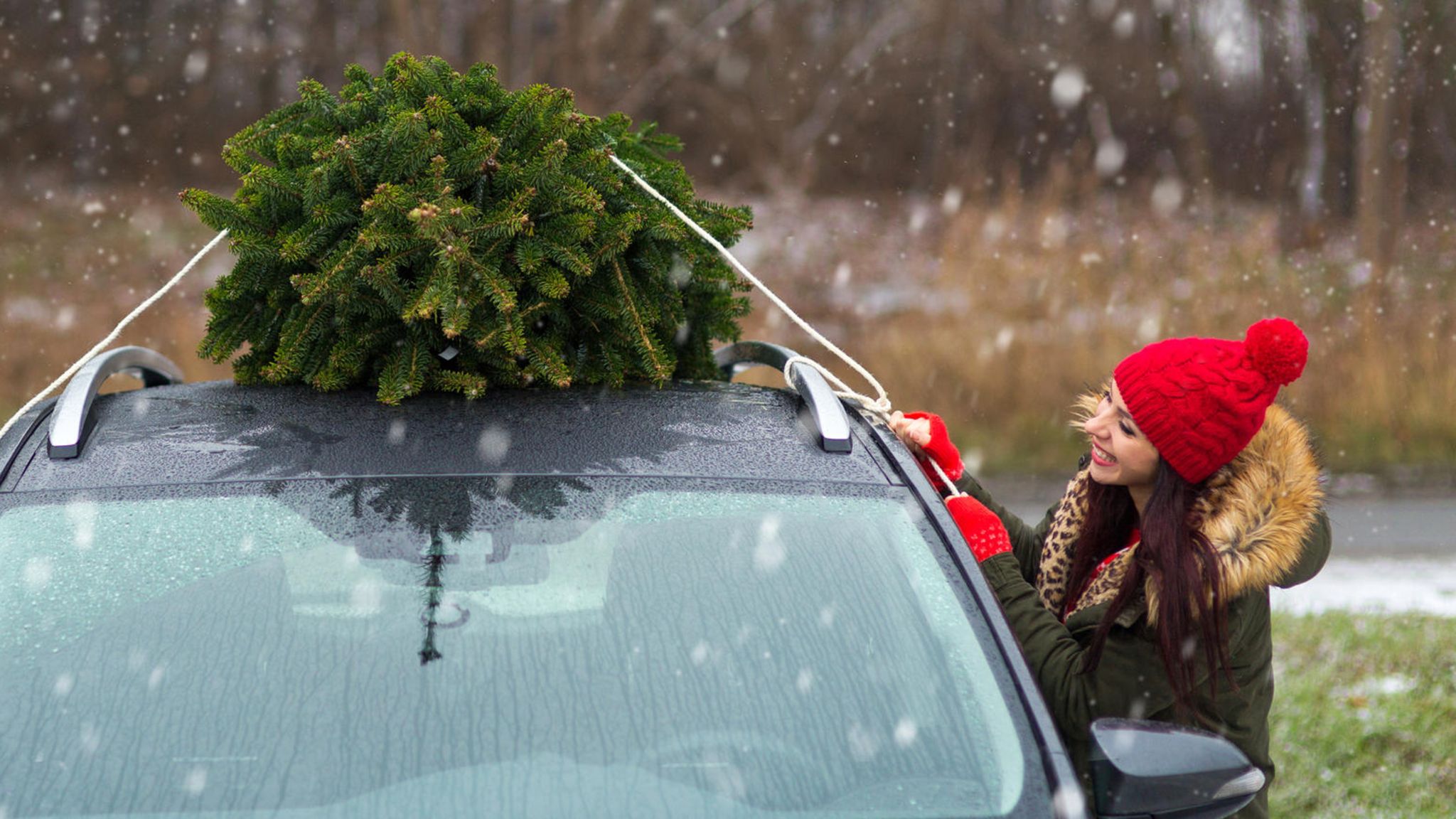 Weihnachtsbaum Transporthülle - nadelfrei in Auto und Wohnung