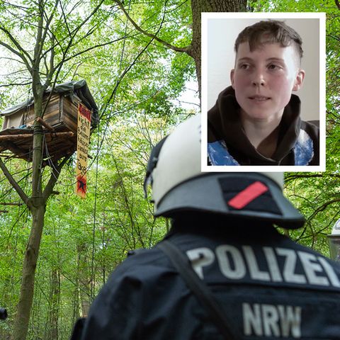 Baumhaus im Hambacher Forst