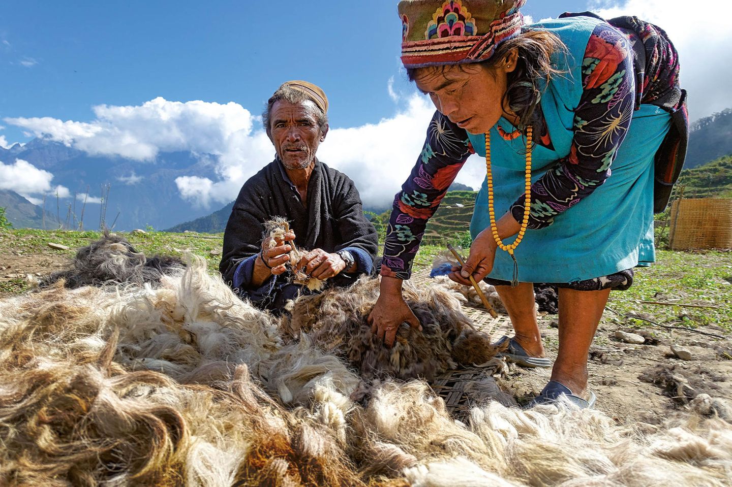 Der Wolle geht die (natürliche) Farbe aus    Nicht nur die Hirten in Gatlang haben ihre Wolle bisher traditionell mit pflanzlichen Farben gefärbt. Nun fehlen die Pflanzen bzw. das Wachstum hat dramatisch abgenommen, sodass sich die Suche kaum noch lohnt. Die Farben werden mittlerweile in Kathmandu als chemische Produkte gekauft. Damit geht eine lange Tradition zu Ende. 
