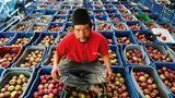 Neue Heimat für Fuji, Golden Delicious und Kiwi    In Bhratang, gelegen am Annapurna Circuit nahe Manang, der beliebtesten Trekking-Route Nepals, entstand eine der größten asiatischen Apfelplantagen der Firma Agro Manang. Aufgrund der steigenden Temperaturen ziehen sich die Plantagen jedoch immer höher die Himalaya-Hänge hinauf, inzwischen bereits über 3600 Metern Höhe. Selbst im extrem trockenen, ehemaligen Königreich Mustang, werden (nicht mehr nur) Äpfel angepflanzt. In vielen Regionen wurde mit dem Anbau von Kiwis begonnen.  Weitere Folge der steigenden Temperaturen: Viele Haushalte in Mustang benötigen im Sommer nun Moskitonetze, denn Mücken sind zur Plage geworden, obwohl sie vor einigen Jahren hier noch gänzlich unbekannt waren. 