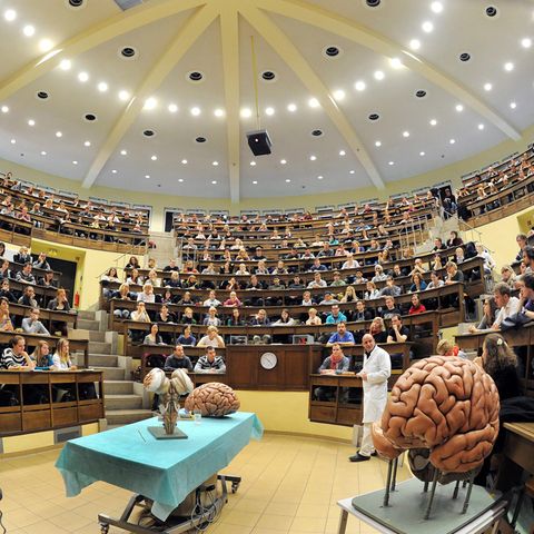 Reformen für das Medizinstudium