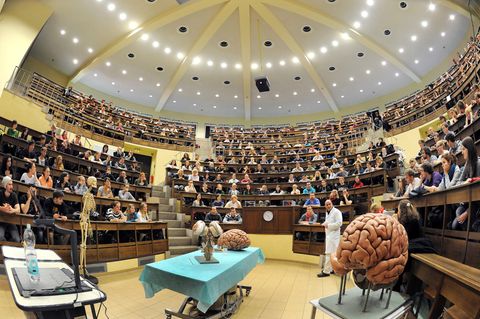 Reformen für das Medizinstudium