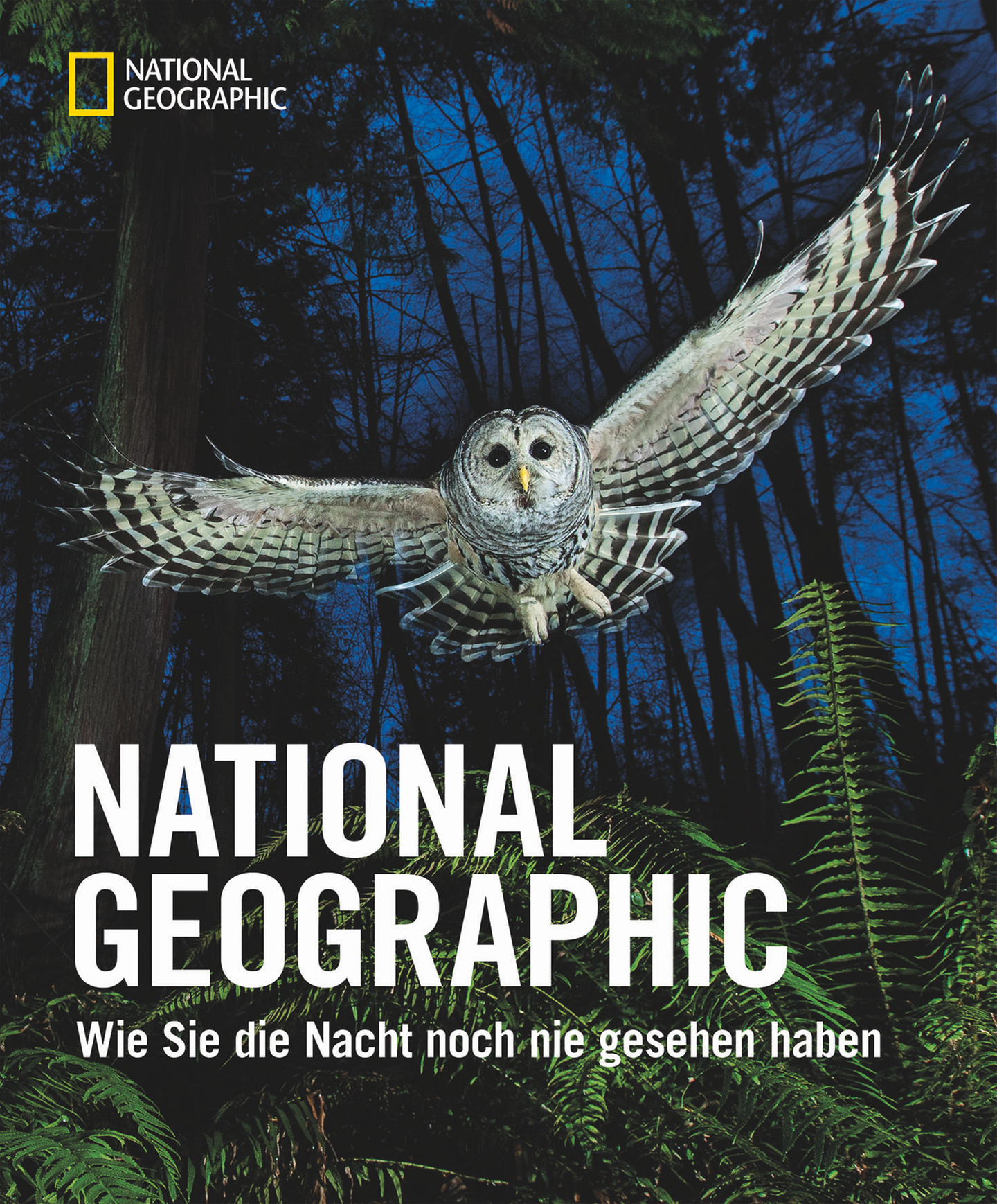 Die Magie der Nacht  Die Nacht ist grau, schwarz, unheimlich? Mitnichten. Wer in diesem Bildband blättert, erlebt die Schönheit dieser besonderen Tageszeit. Mit dem Bild eines Polarfuchses in der blauen Stunde, dem Foto einer leicht bekleideten Sambatänzerin beim Karneval in Brasilien, dem in der Dunkelheit ausbrechenden Vulkan Eyjafjallajökull auf Island, dem Flug einer Eule und einem Maya-Tempel in mystischem Licht. Viele Aufnahmen stammen von weltbekannten National Geographic-Fotografen, und oft nehmen sie den Betrachter durch ihre  besondere Stimmung gefangen. "Die Nacht ist seltsam und geheimnisvoll, wunderschön und romantisch, unheilvoll und furchterregend – und was bei Einbruch der Dunkelheit zum Vorschein kommt, fasziniert Künstler schon seit Jahrhunderten", erläutern Diane Cook und Len Jeshel im Begleittext. "Diese Seiten zeigen spannende Interpretationen vom Leben nach Einbruch der Dunkelheit."  "Wie Sie die Nacht noch nie gesehen haben", National Geographic, 400 Seiten, Preis: 39,99. Euro