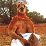 Alice Springs, Australien: Was auf den ersten Blick wie das Ergebnis von Photoshop wirkt, ist tatsächlich ein muskulöses Känguru. Durch sein ungewöhnliches Aussehen erlangte Roger internationale Bekanntheit. Nun ist der Muskelprotz mit zwölf Jahren an Altersschwäche gestorben.