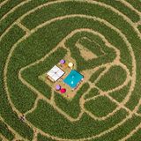 Le Landeron, Schweiz. Durstige Besucher machen sich auf den Weg durch ein 20.000 Quadratmeter grosses Maislabyrinth. Wer es bis in die Mitte schafft, dem winkt Erfrischung an der Bierbar, die inmitten eines Pfades in Form eines großen Bierkruges steht.