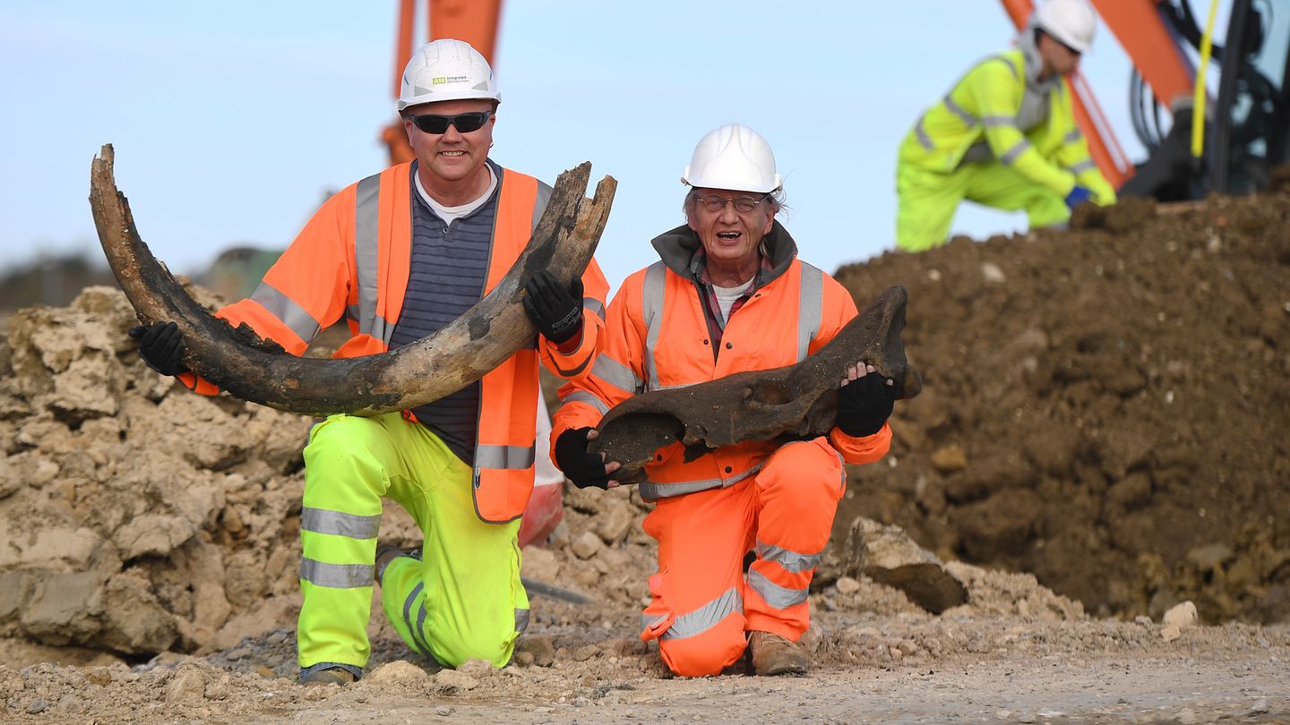 Cambridge, Großbritannien. Archäologen zeigen stolz ihre jüngsten Entdeckungen: den Stoßzahn eines Mammuts und den Schädel eines Nashorns. Beide Tiere sollen vor rund 130.000 Jahren auf der Insel gelebt haben. 