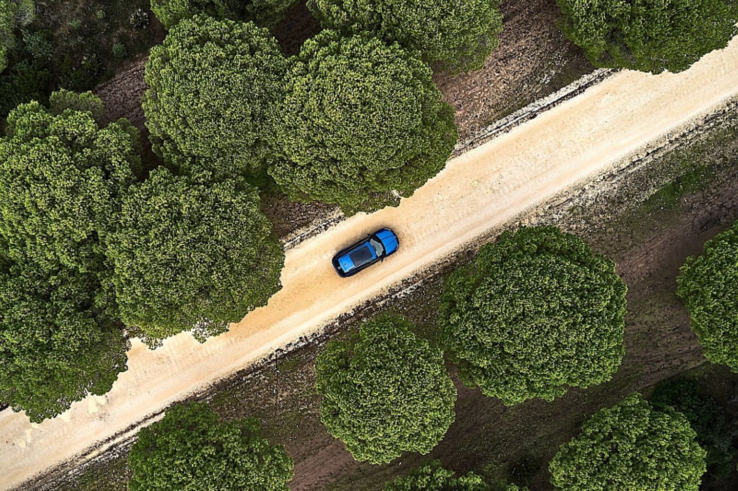 Skoda Kodiaq RS