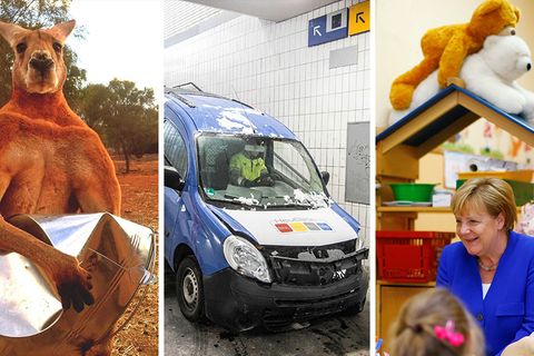 Best-of "Bilder des Tages": Lustig, skurril, erschütternd: die Bilder des Jahres 2018