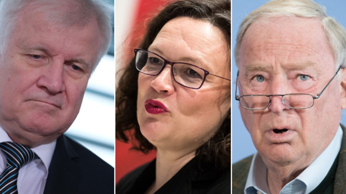Bundesinnenminister und CSU-Chef Horst Seehofer, SPD-Vorsitzende Andrea Nahles, AfD-Chef Alexander Gauland