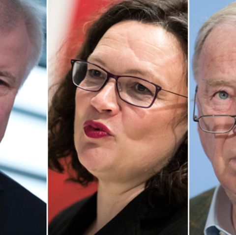 Bundesinnenminister und CSU-Chef Horst Seehofer, SPD-Vorsitzende Andrea Nahles, AfD-Chef Alexander Gauland