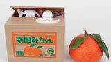 Weihnachtsgeschenk: Katzen-Spardose