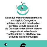 NEON Unnützes Wissen Kalender 2019