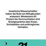 NEON Unnützes Wissen Kalender 2019