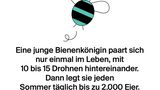 NEON Unnützes Wissen Kalender 2019