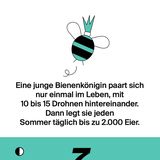 NEON Unnützes Wissen Kalender 2019