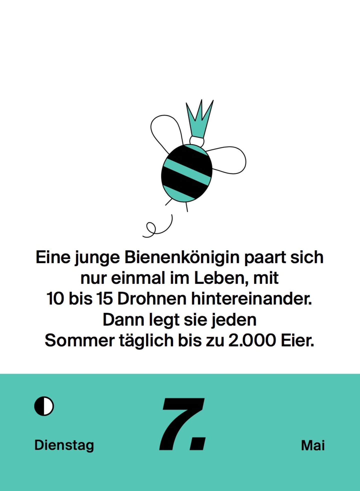 NEON Unnützes Wissen Kalender 2019