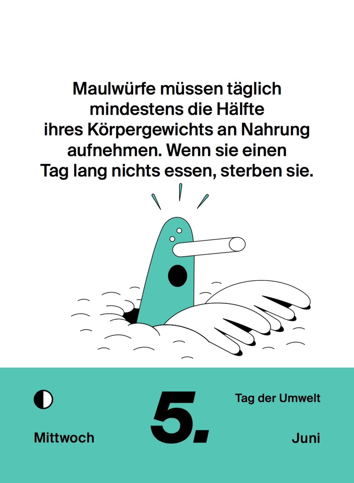 NEON Unnützes Wissen Kalender 2019