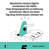 NEON Unnützes Wissen Kalender 2019