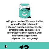 NEON Unnützes Wissen Kalender 2019