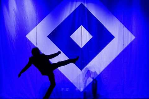 Adventskalender - Tritt für den HSV