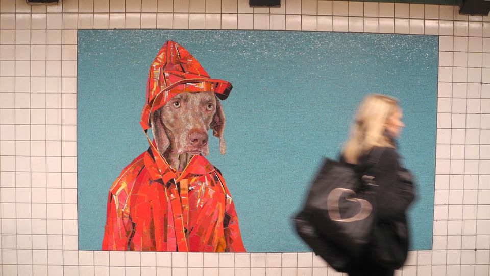Bilder des Künstler William Wegman in der New Yorker U-Bahn-Station