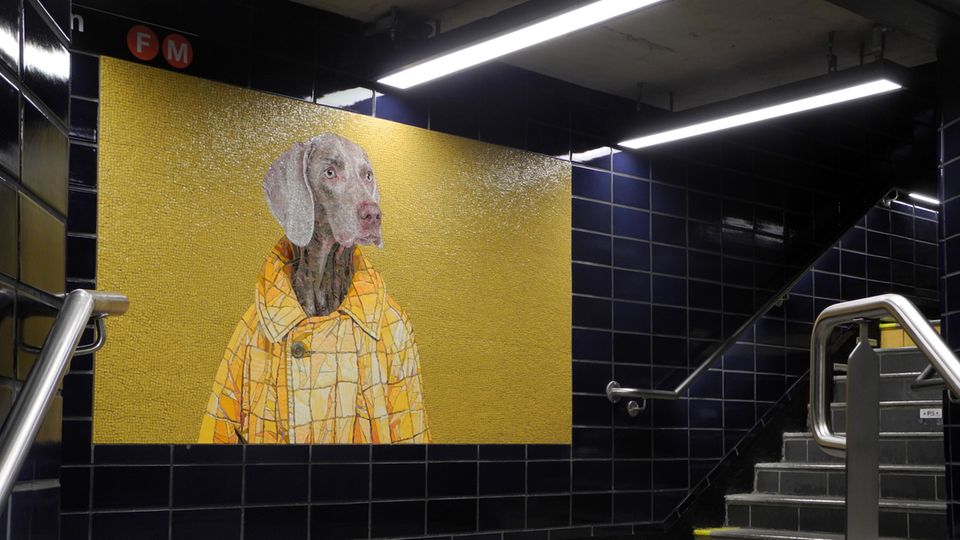 William Wegman in New York William Wegman in New York