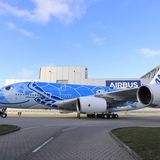 Die Schildkröte lächelt: Für das Design des Rumpfes ist Chihiro Masuoka aus Tokio verantwortlich