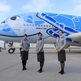 Zu dem Event in Hamburg-Finkenwerder sind extra Flugbegleiter aus Japan eingeflogen worden