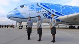 Zu dem Event in Hamburg-Finkenwerder sind extra Flugbegleiter aus Japan eingeflogen worden