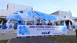 Die offizielle Übergabe des Flugzeugs von Airbus an ANA wird im März 2019 sein. Dann kommt das Flugzeug ausschließlich auf der Strecke zwischen Tokio und Hawaii zum Einsatz