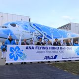 Die offizielle Übergabe des Flugzeugs von Airbus an ANA wird im März 2019 sein. Dann kommt das Flugzeug ausschließlich auf der Strecke zwischen Tokio und Hawaii zum Einsatz