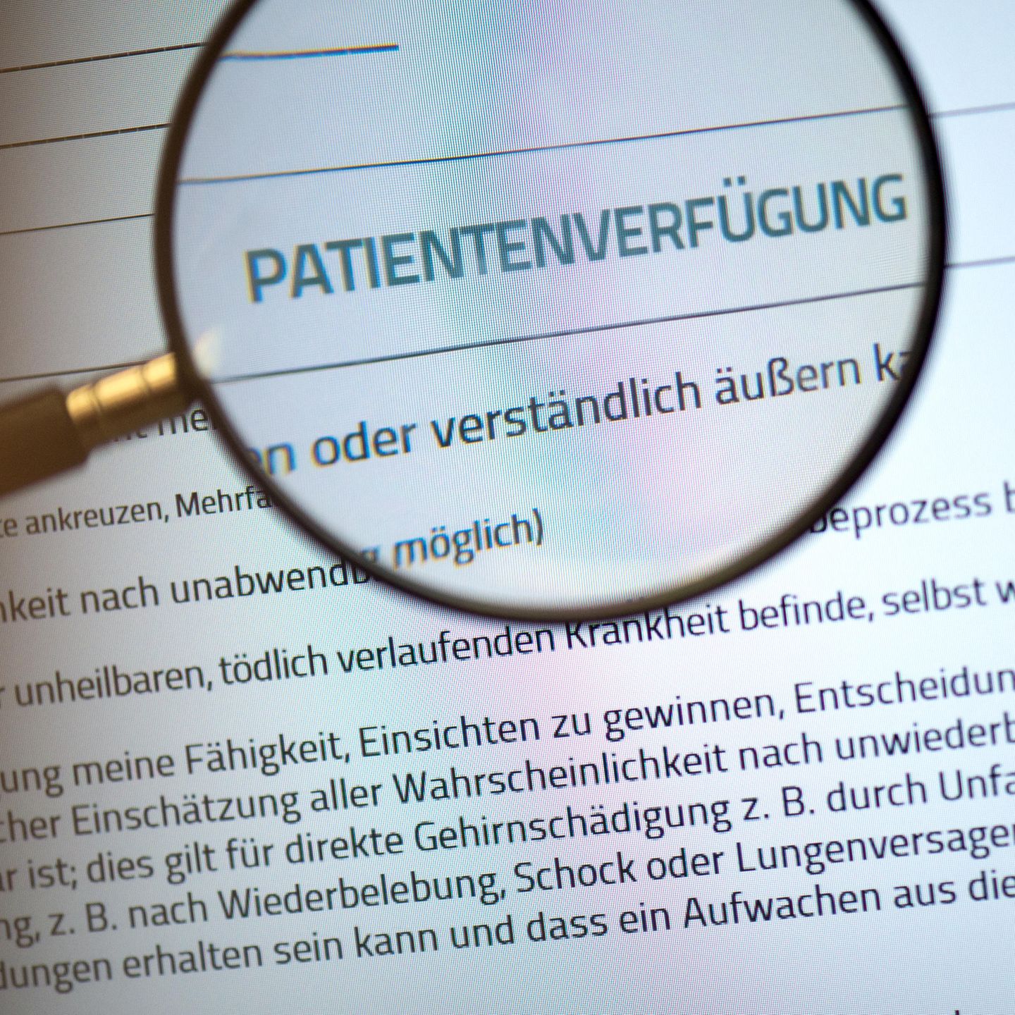 vitamin e künstlich Natürlicher Vitamin-E-Komplex, Tocopherole & Tocotrienole |  Nahrungsergänzungsmittel