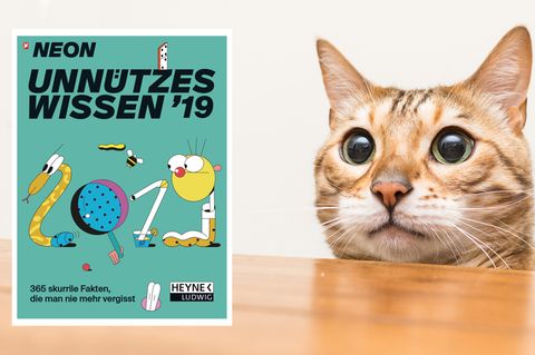 Der NEON Unnützes Wissen Kalender 2019