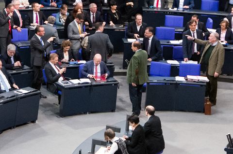 AfD im Bundestag