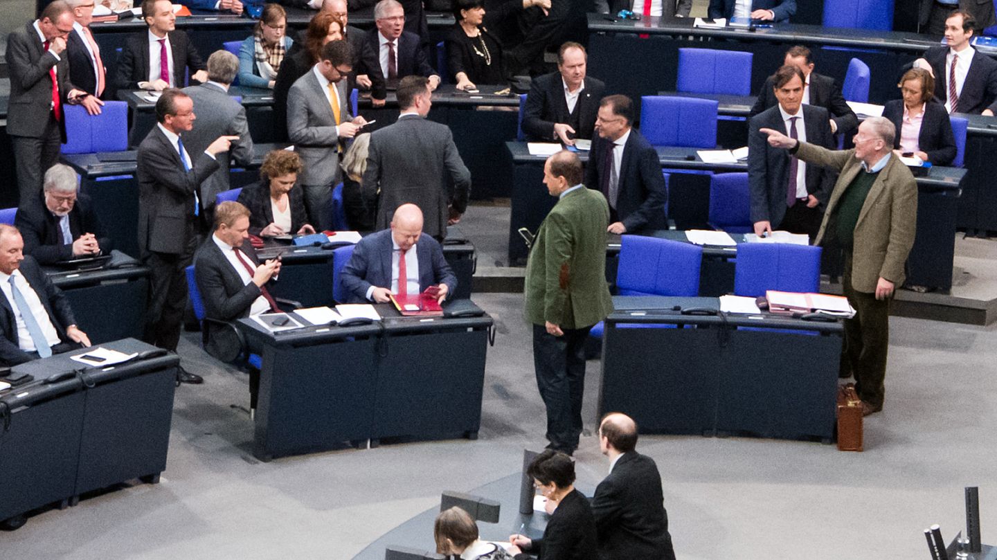 AfD im Bundestag