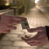 nachrichten deutschland - betrogener kiffer