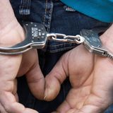 nachrichten deutschland - räuber-elefant